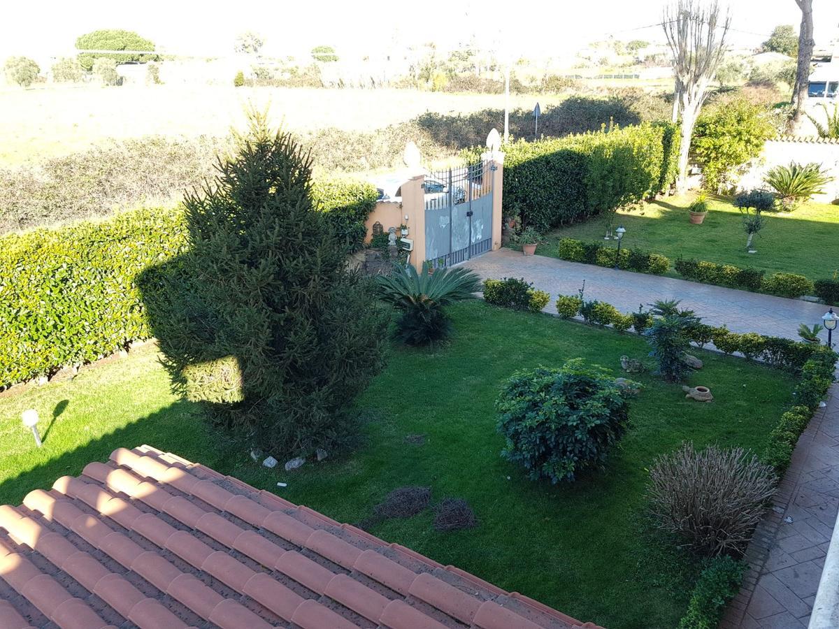 B&B Villa Elema Неттуно Екстер'єр фото
